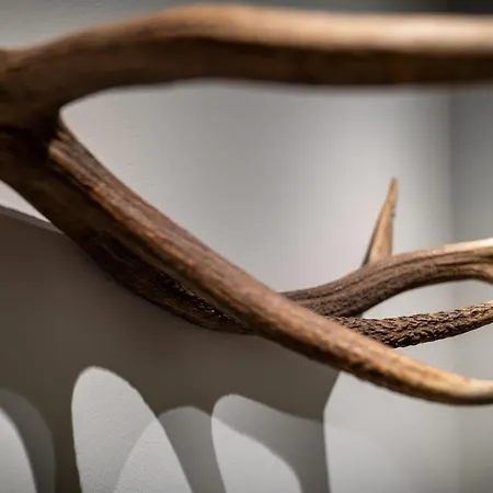 公寓 Anna 埃尔毛